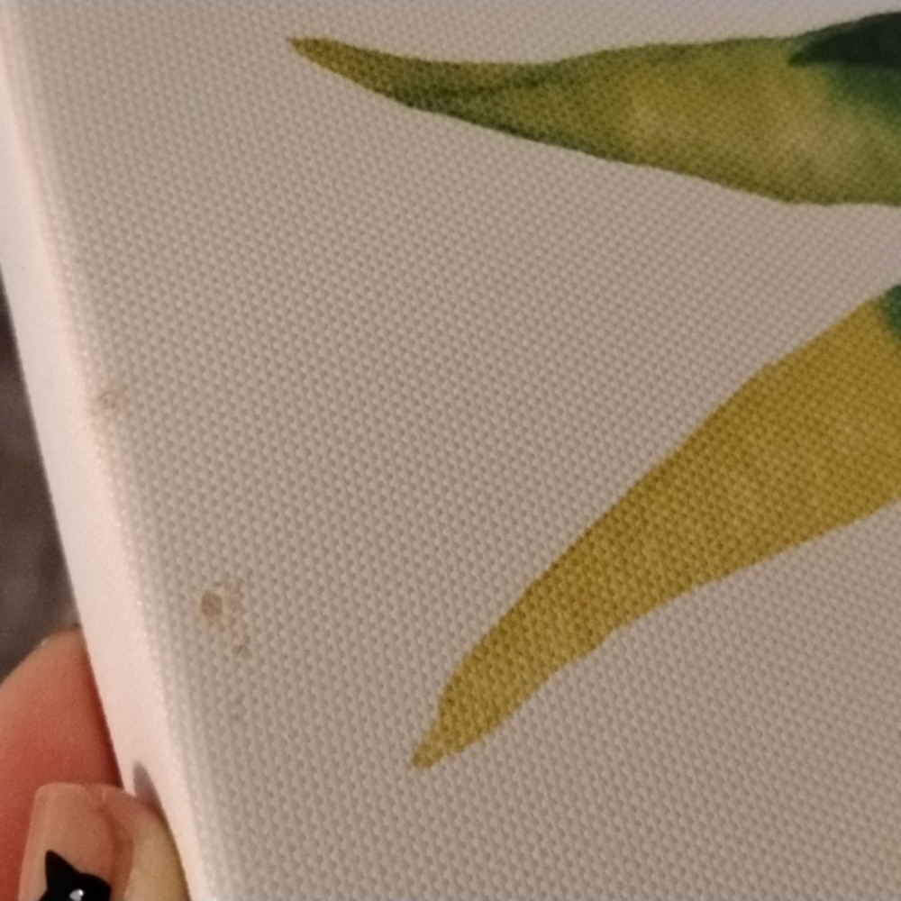 You are the pineapple of my eye printed on campus - Picture 2 of 2